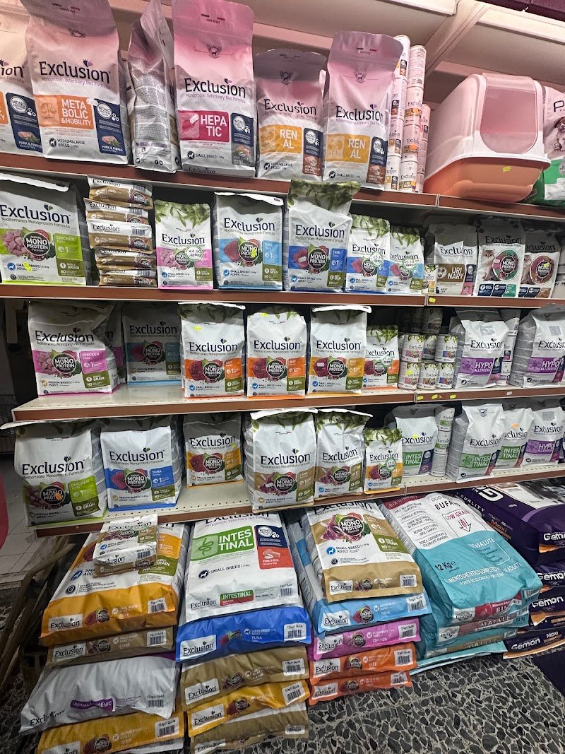 Zampettando - Foto 5