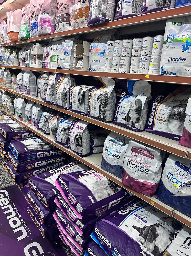 Zampettando - Foto 6