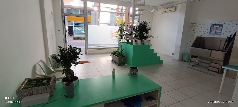 Zampette Brillanti lavaggio self-service Pescara-Chieti - Foto 2