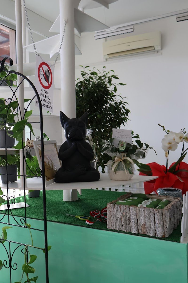 Zampette Brillanti lavaggio self-service Pescara-Chieti - Foto 4