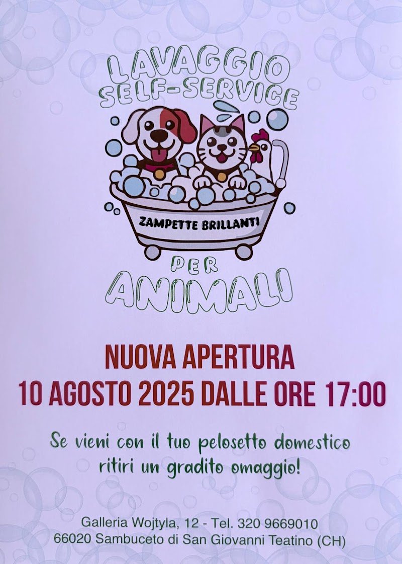 Zampette Brillanti lavaggio self-service Pescara-Chieti - Foto 5