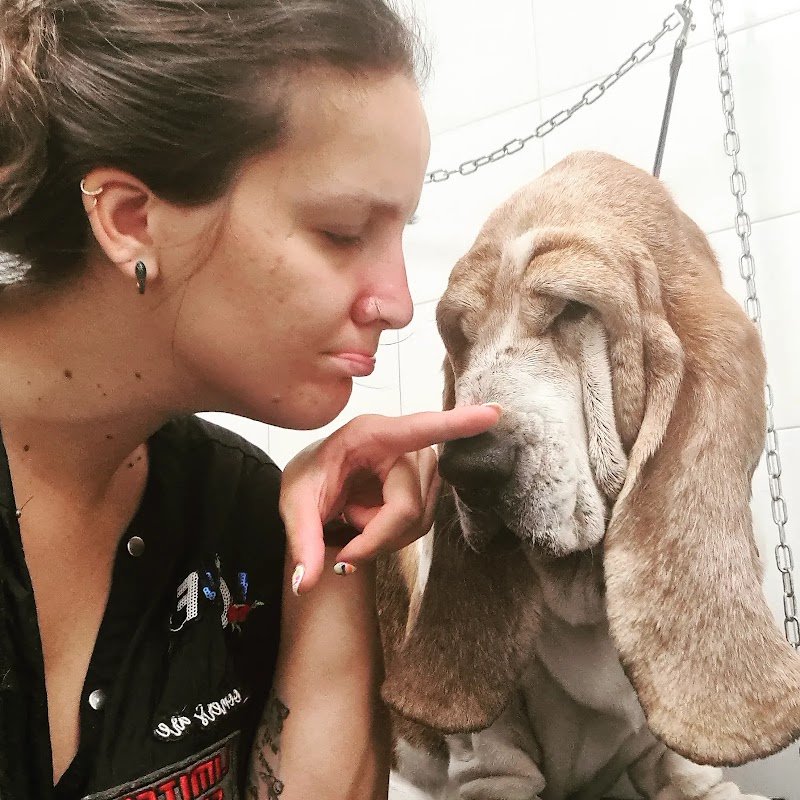 Zampette in vasca - Foto 1