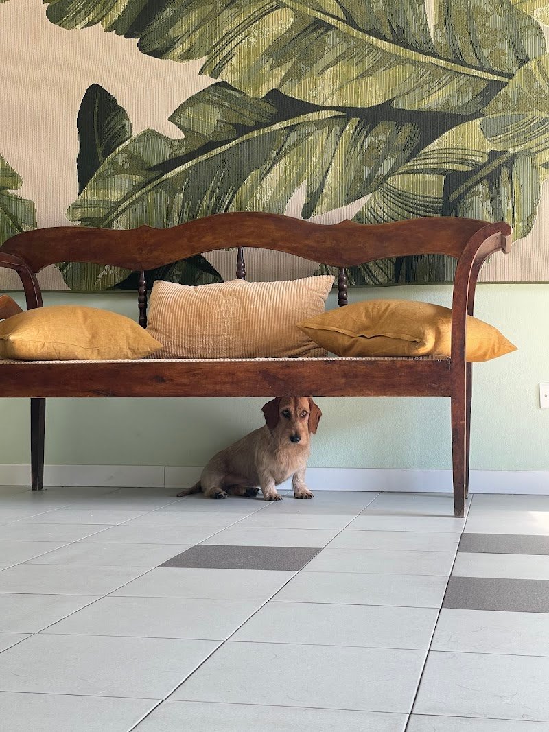 Zampette in vasca - Foto 2