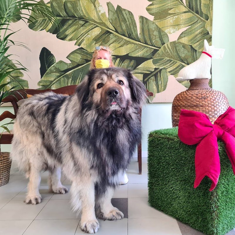 Zampette in vasca - Foto 3