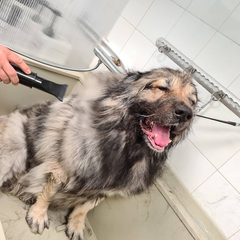 Zampette in vasca - Foto 4