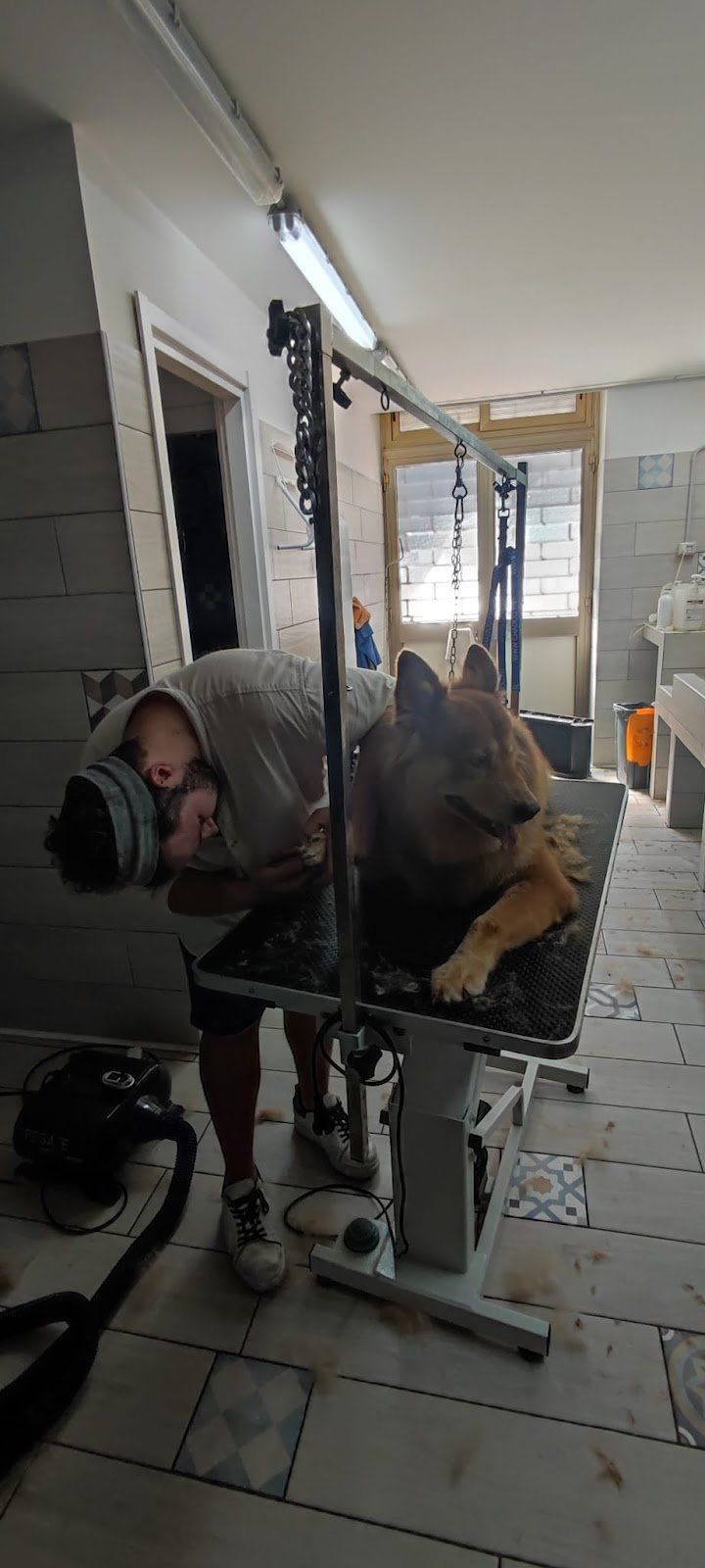 Zampette sul cuore - Foto 2