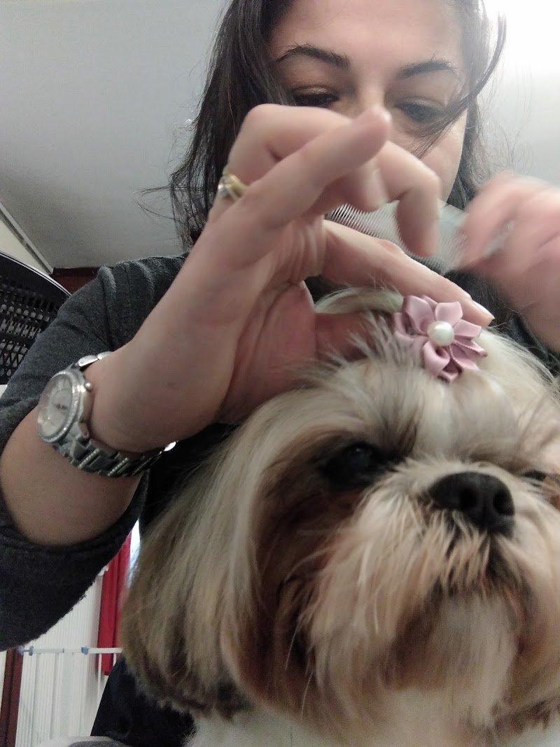 Zampina Amica - Foto 5