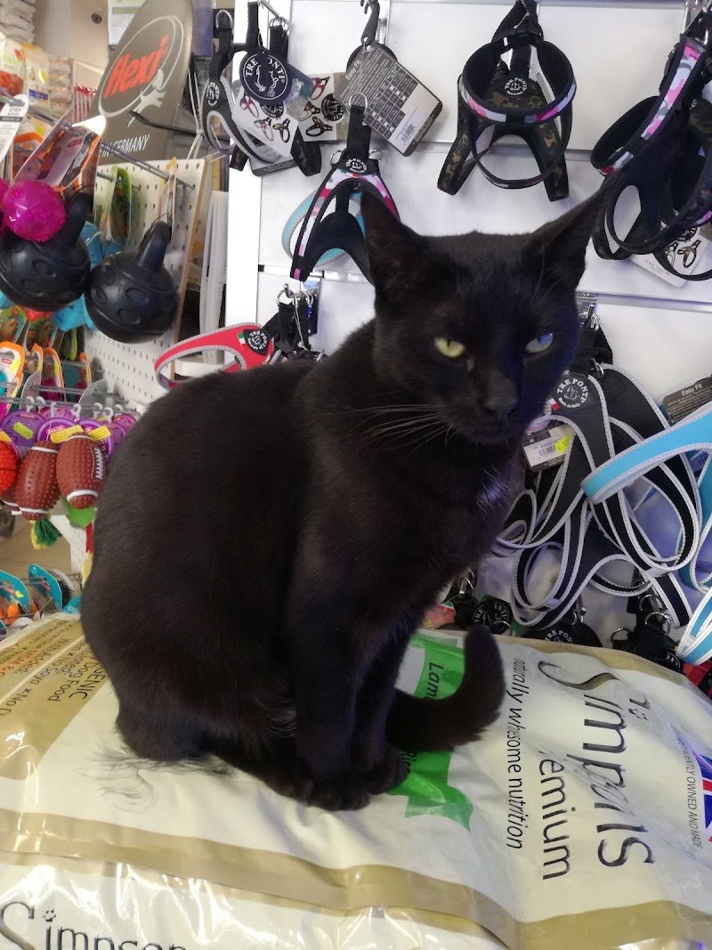 ZavaRoby Pet Station - Foto 1