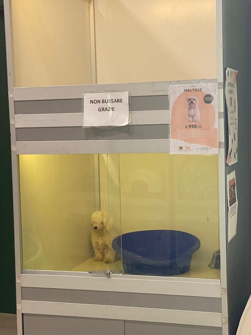 Zoe Time Pet Shop Catania - Foto 4