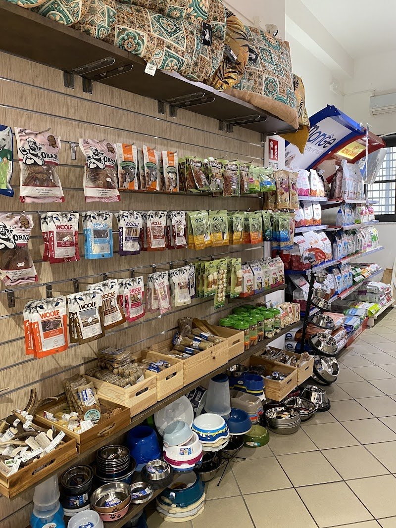 Zoe Time Pet Shop Catania - Foto 5
