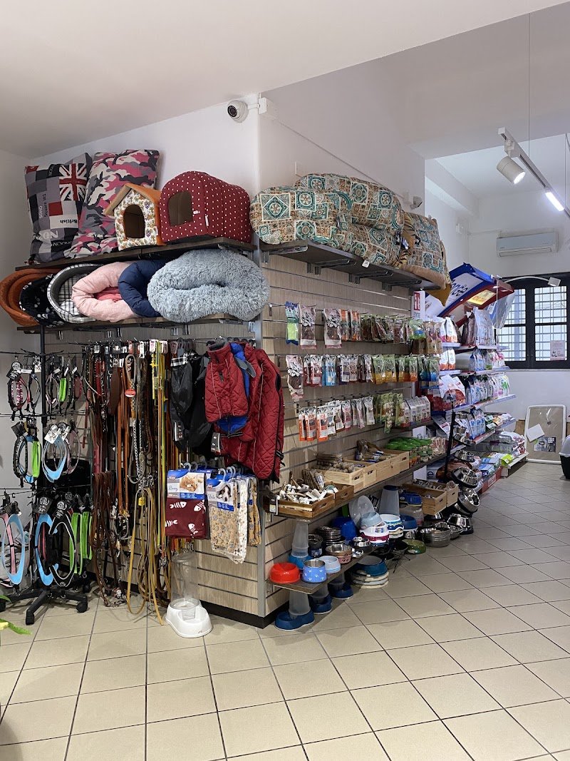 Zoe Time Pet Shop Catania - Foto 6