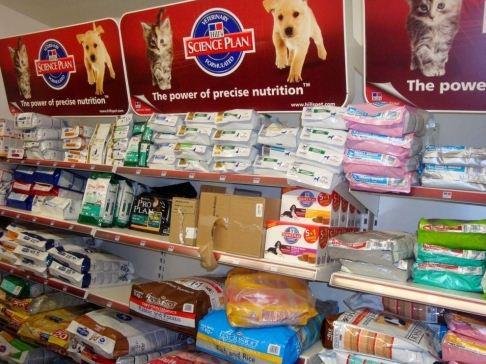 Zoo 2001 Viterbo - Foto 3