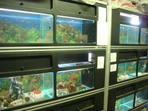 Zoo 2001 Viterbo - Foto 5