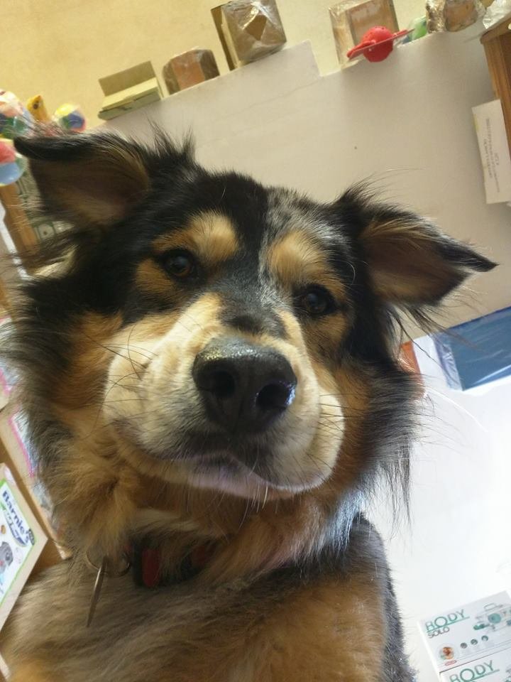 Zoo 2001 Viterbo - Foto 6