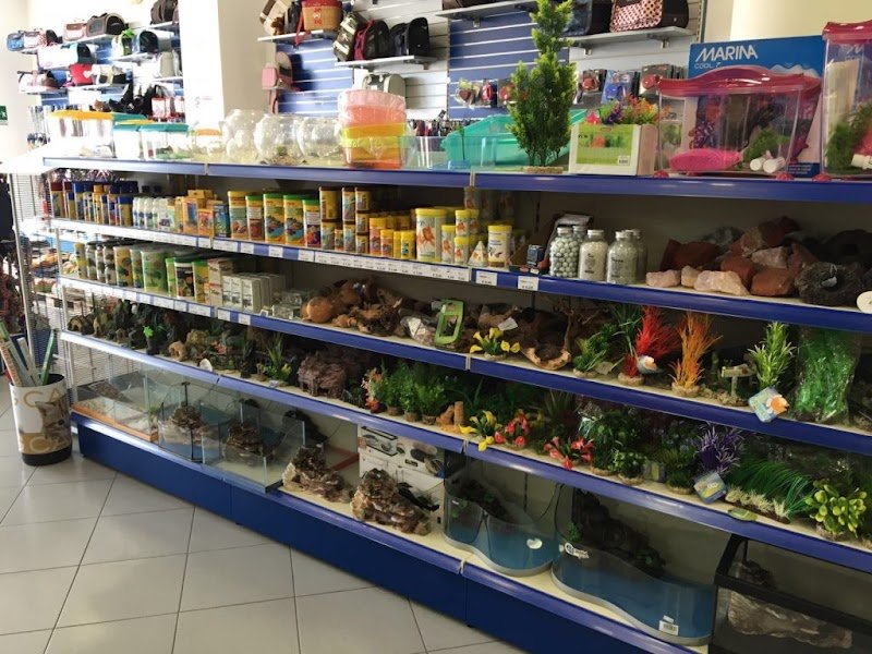 Zoo Service - Marsala - Foto 6