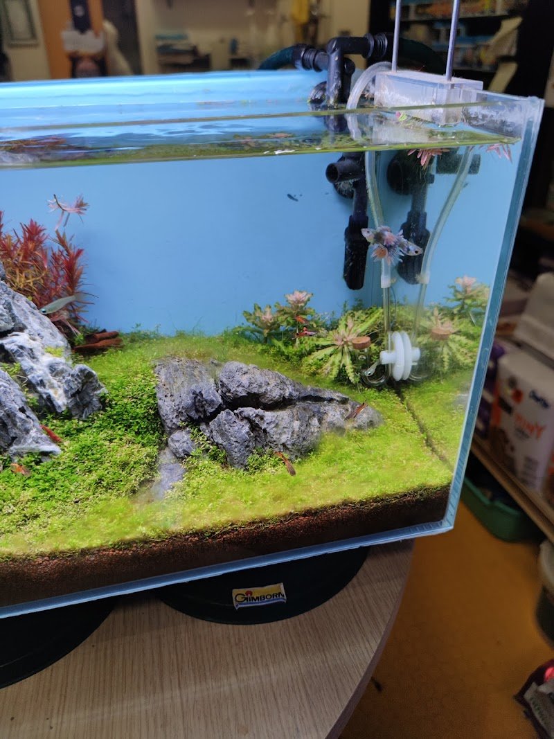 Zoogarden - Toelettatura cani Udine - articoli per animali - Foto 3