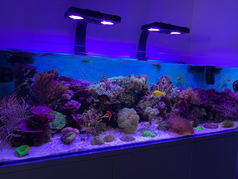 Zoogarden - Toelettatura cani Udine - articoli per animali - Foto 4