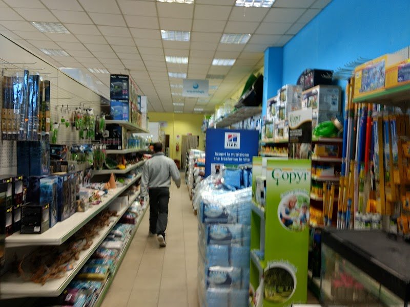 Zooing Pisa - Supermercato per Animali - Foto 3