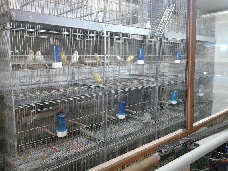 Zoolandia E C Snc - Foto 1