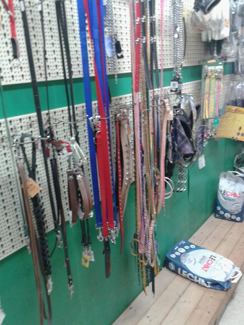 Zoolandia E C Snc - Foto 2