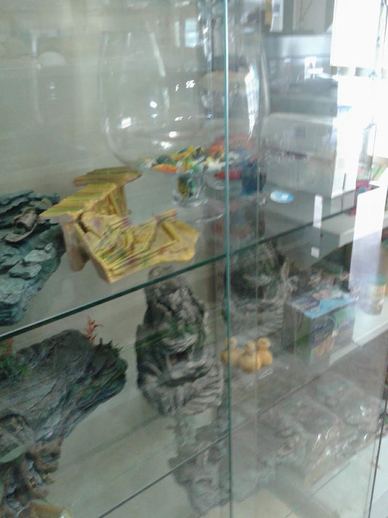 Zoolandia E C Snc - Foto 3