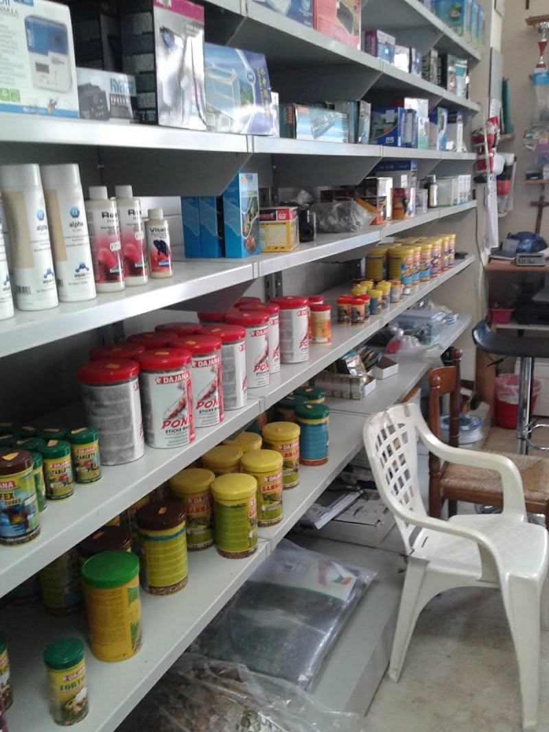 Zoolandia E C Snc - Foto 4