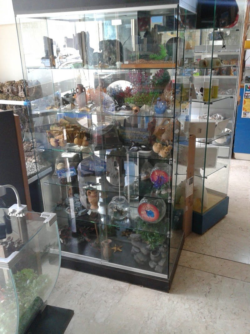 Zoolandia E C Snc - Foto 5