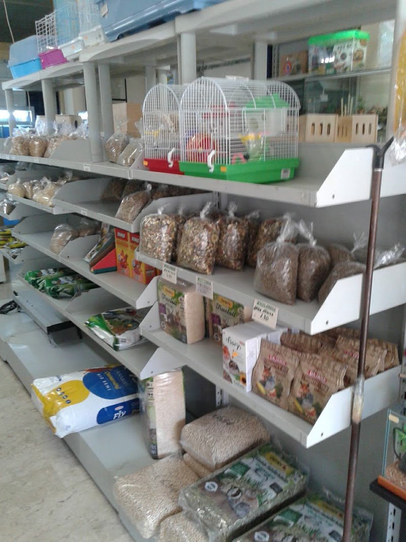 Zoolandia E C Snc - Foto 6