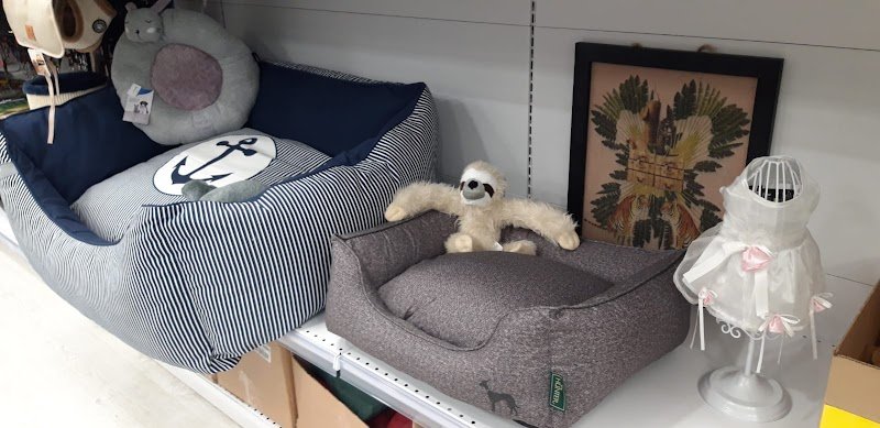 Zoolandia Market - Viareggio - Foto 3