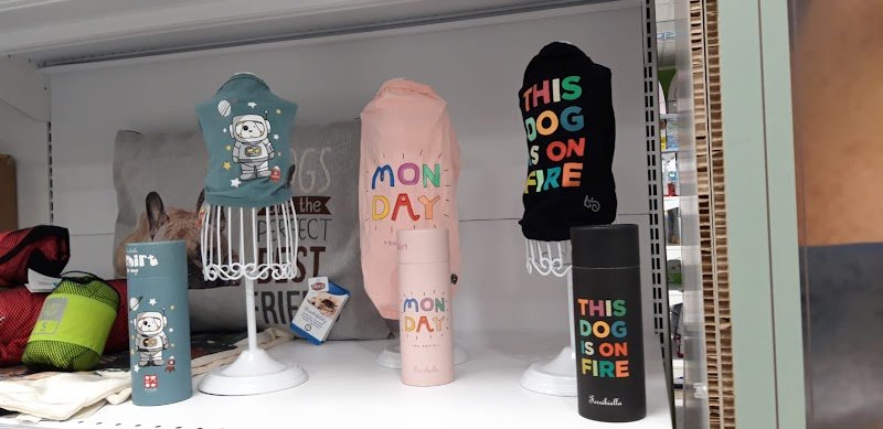 Zoolandia Market - Viareggio - Foto 4