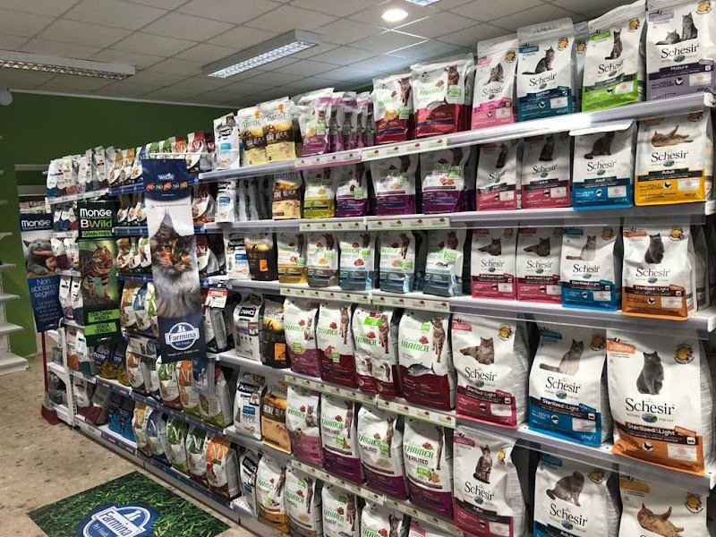 Zoolandia Market - Viareggio - Foto 5