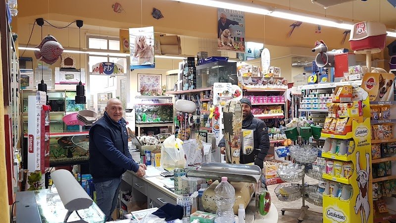 ZOOMARKET di Gioè Michele - Foto 1