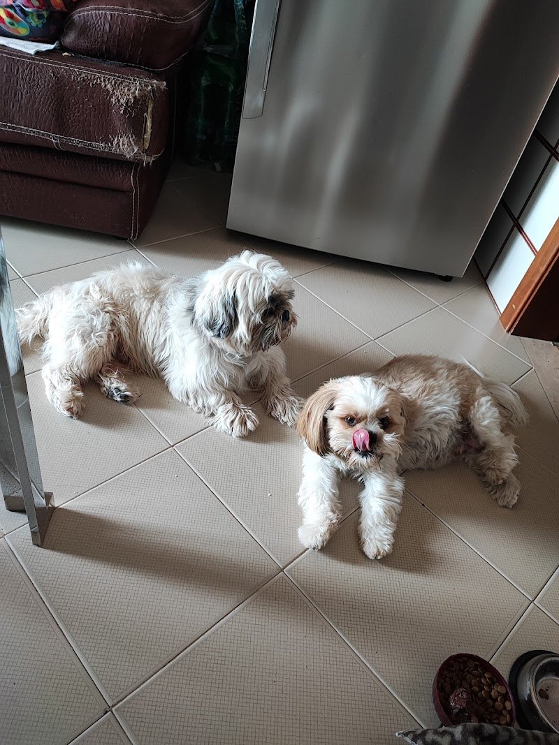 ZOOMARKET di Gioè Michele - Foto 5