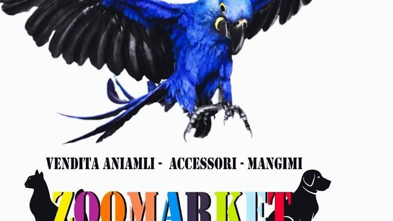 Zoomarket toelettatura & Spa - Foto 5