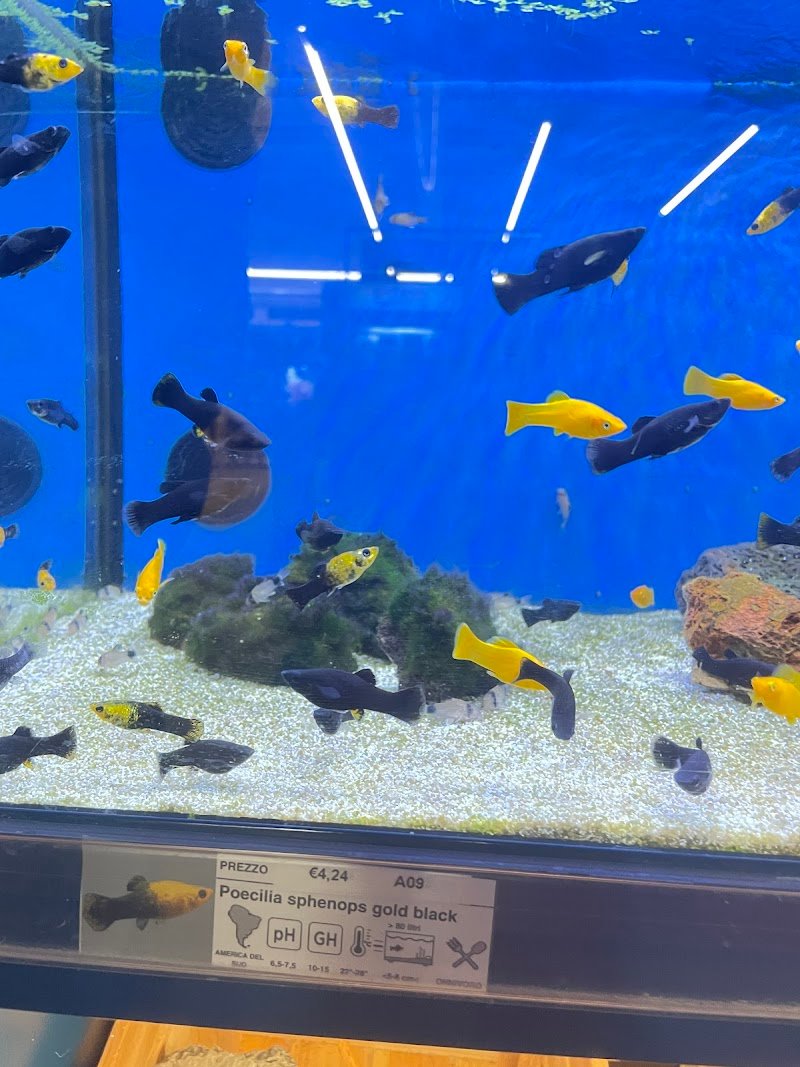 ZooMegastore Cremona - Foto 3