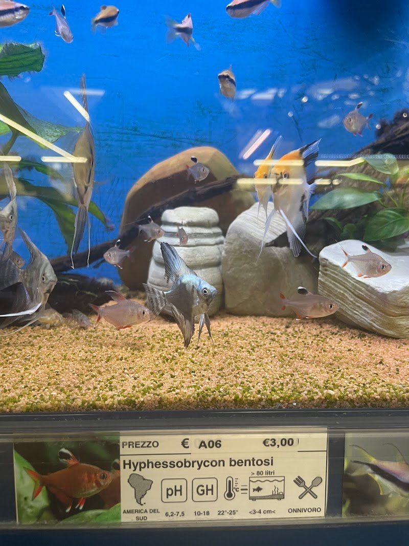 ZooMegastore Cremona - Foto 6