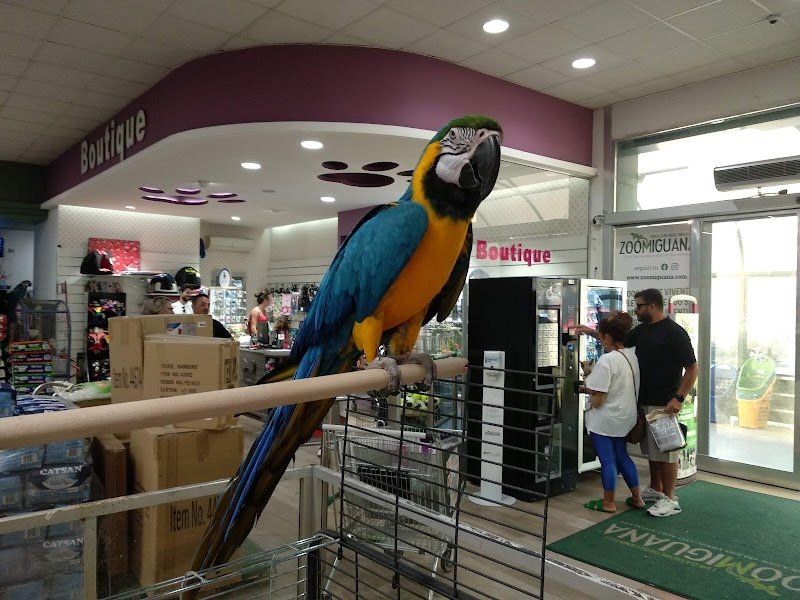 Zoomiguana Il Megastore Degli Animali - Foto 2