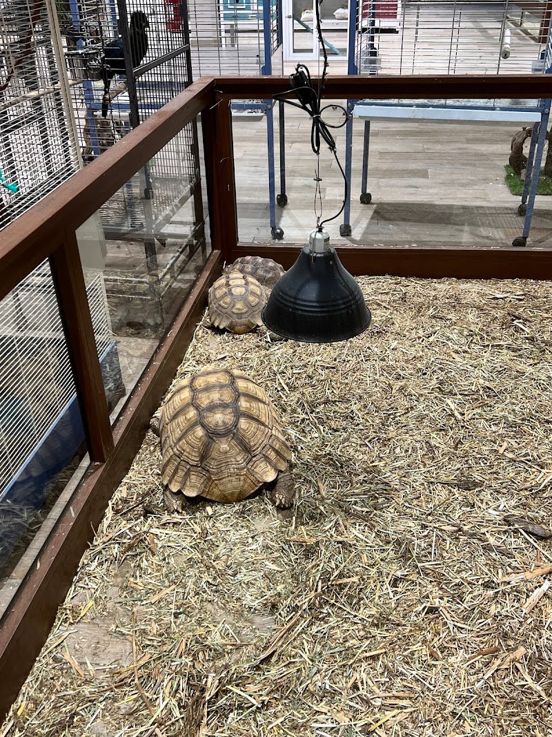 Zoomiguana Il Megastore Degli Animali - Foto 3