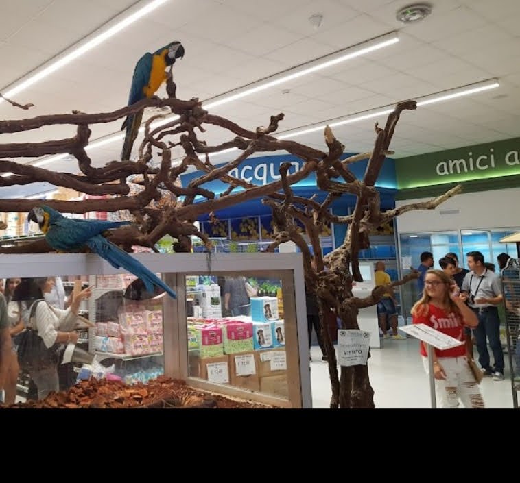 Zoomiguana Il Megastore Degli Animali - Foto 4
