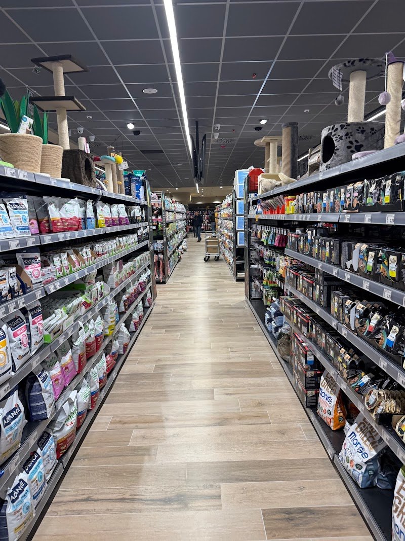 Zoomiguana Il Megastore Degli Animali - Foto 3