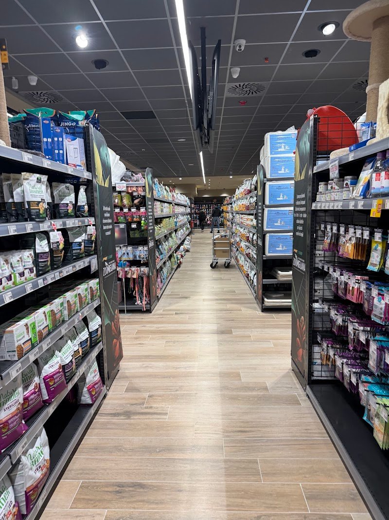 Zoomiguana Il Megastore Degli Animali - Foto 4