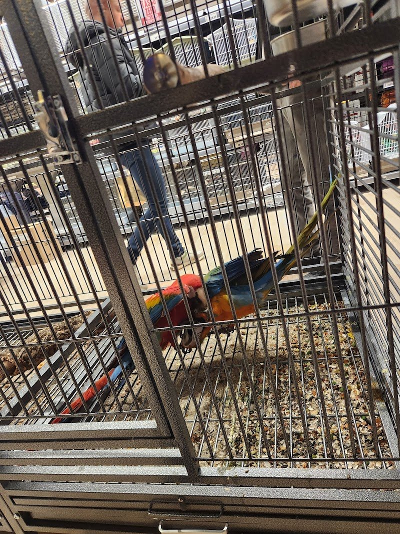 Zoomiguana Il Megastore Degli Animali - Foto 6