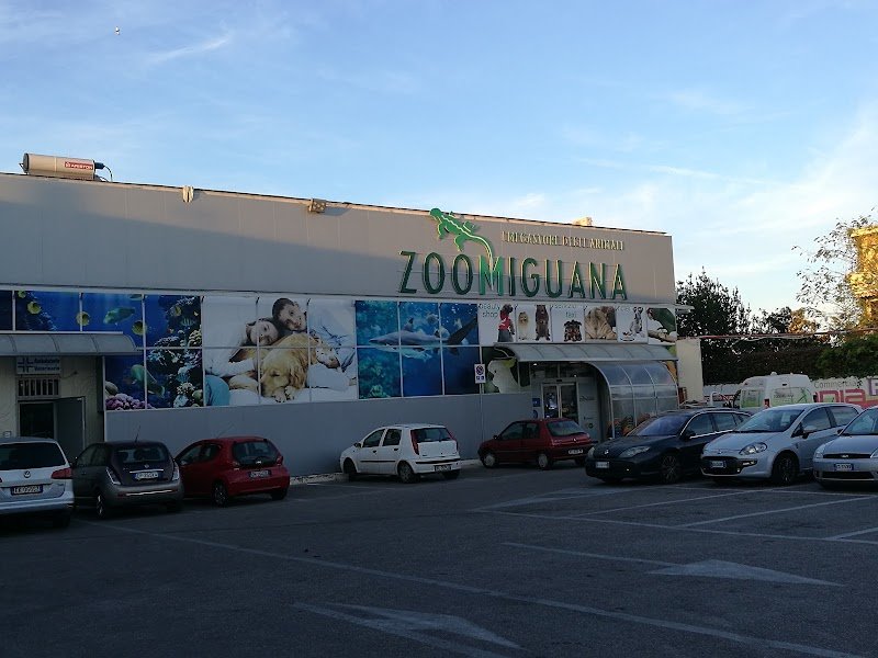 Zoomiguana Il Megastore Degli Animali - Foto 1