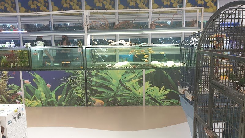 Zoomiguana Il Megastore Degli Animali - Foto 2