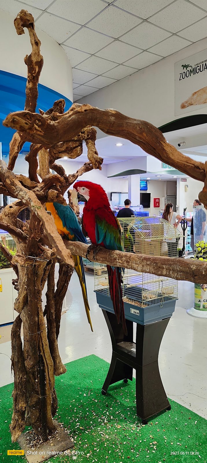 Zoomiguana Il Megastore Degli Animali - Foto 3