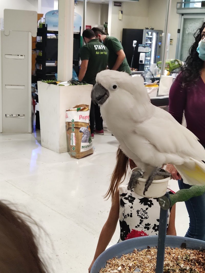 Zoomiguana Il Megastore Degli Animali - Foto 4