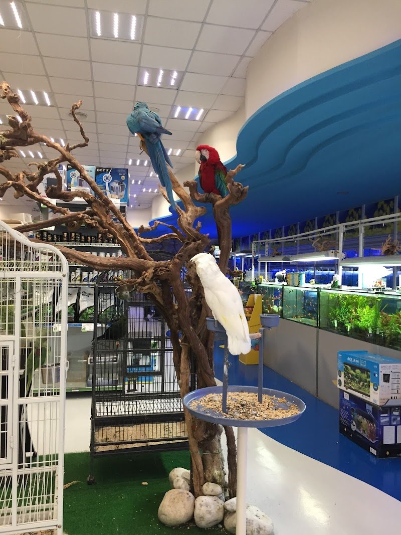 Zoomiguana Il Megastore Degli Animali - Foto 6