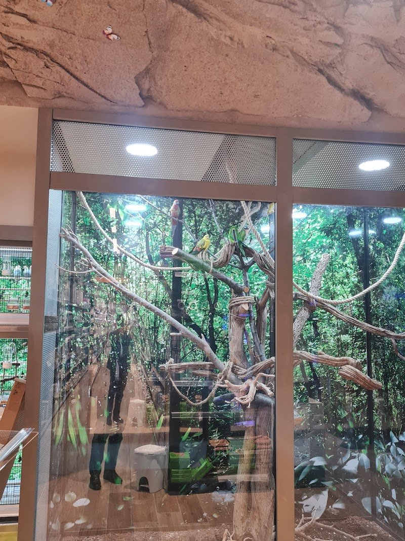 Zoomiguana Il Megastore Degli Animali - Foto 1