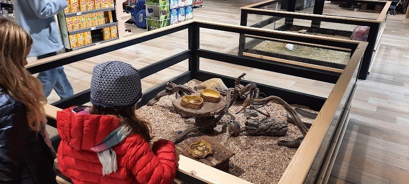 Zoomiguana Il Megastore Degli Animali - Foto 4