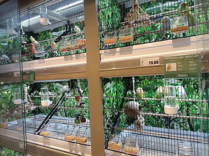 Zoomiguana Il Megastore Degli Animali - Foto 5